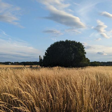 Under Valnodden Panzió Stubbekøbing Kültér fotó