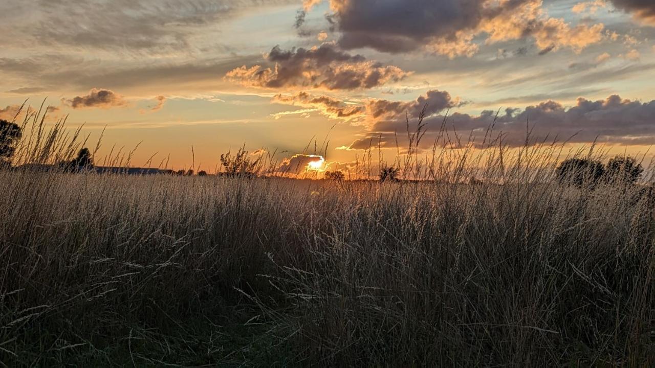 Under Valnodden Panzió Stubbekøbing Kültér fotó
