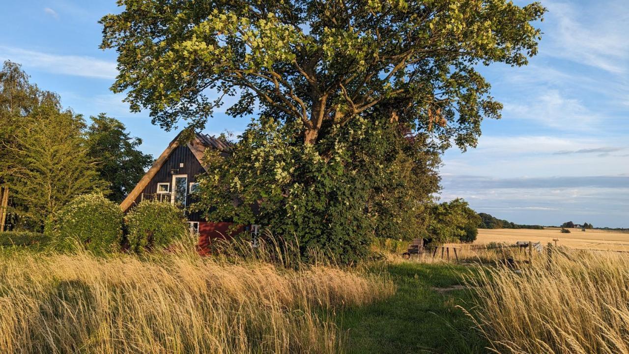 Under Valnodden Panzió Stubbekøbing Kültér fotó