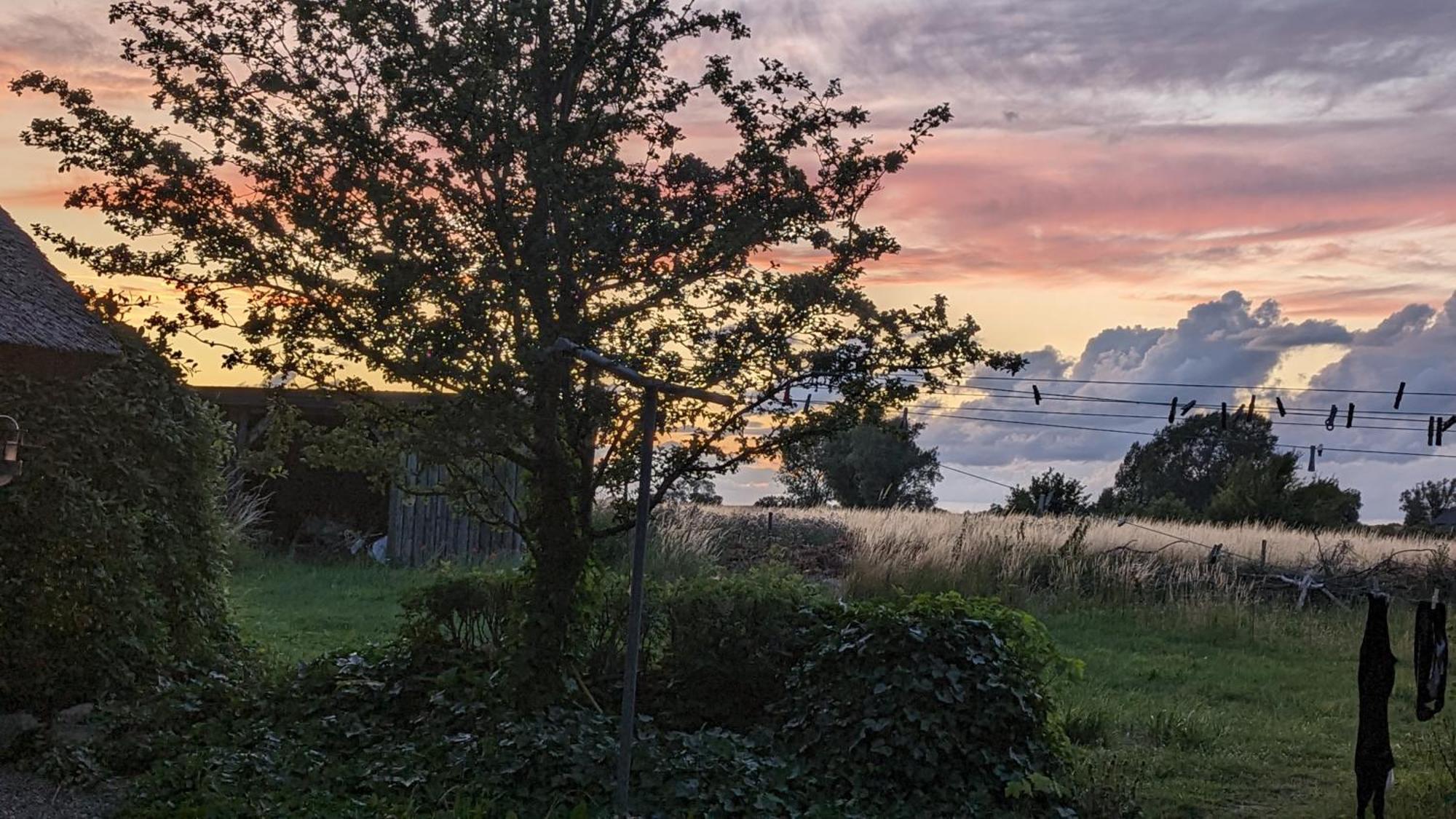 Under Valnodden Panzió Stubbekøbing Kültér fotó